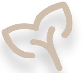 Leaf Icon